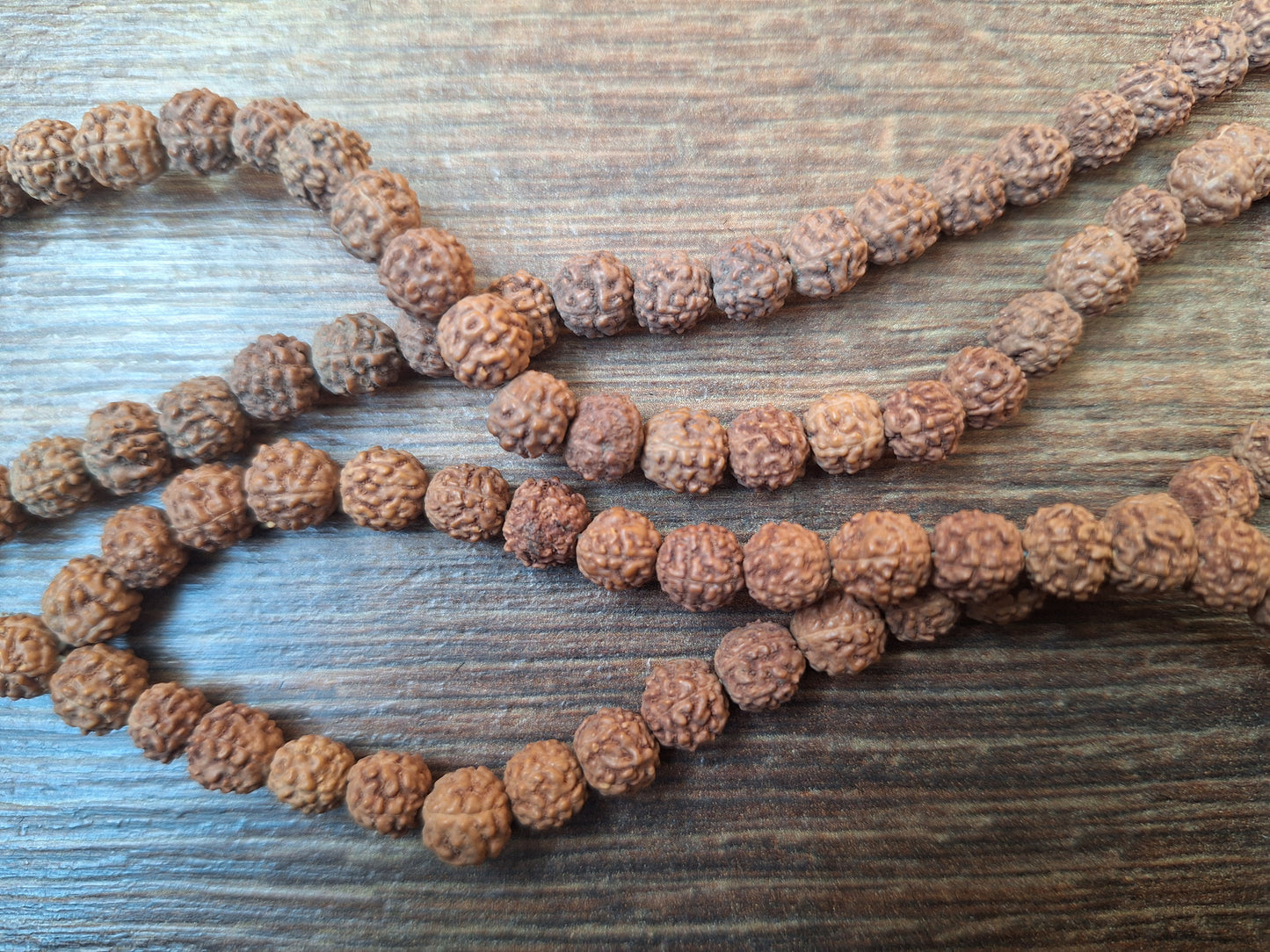 Rudraksha bead strand