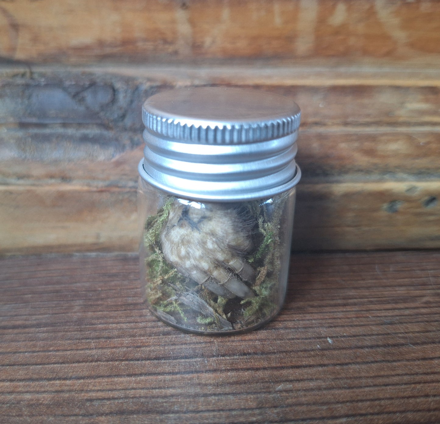 Mole paws in glass bottle