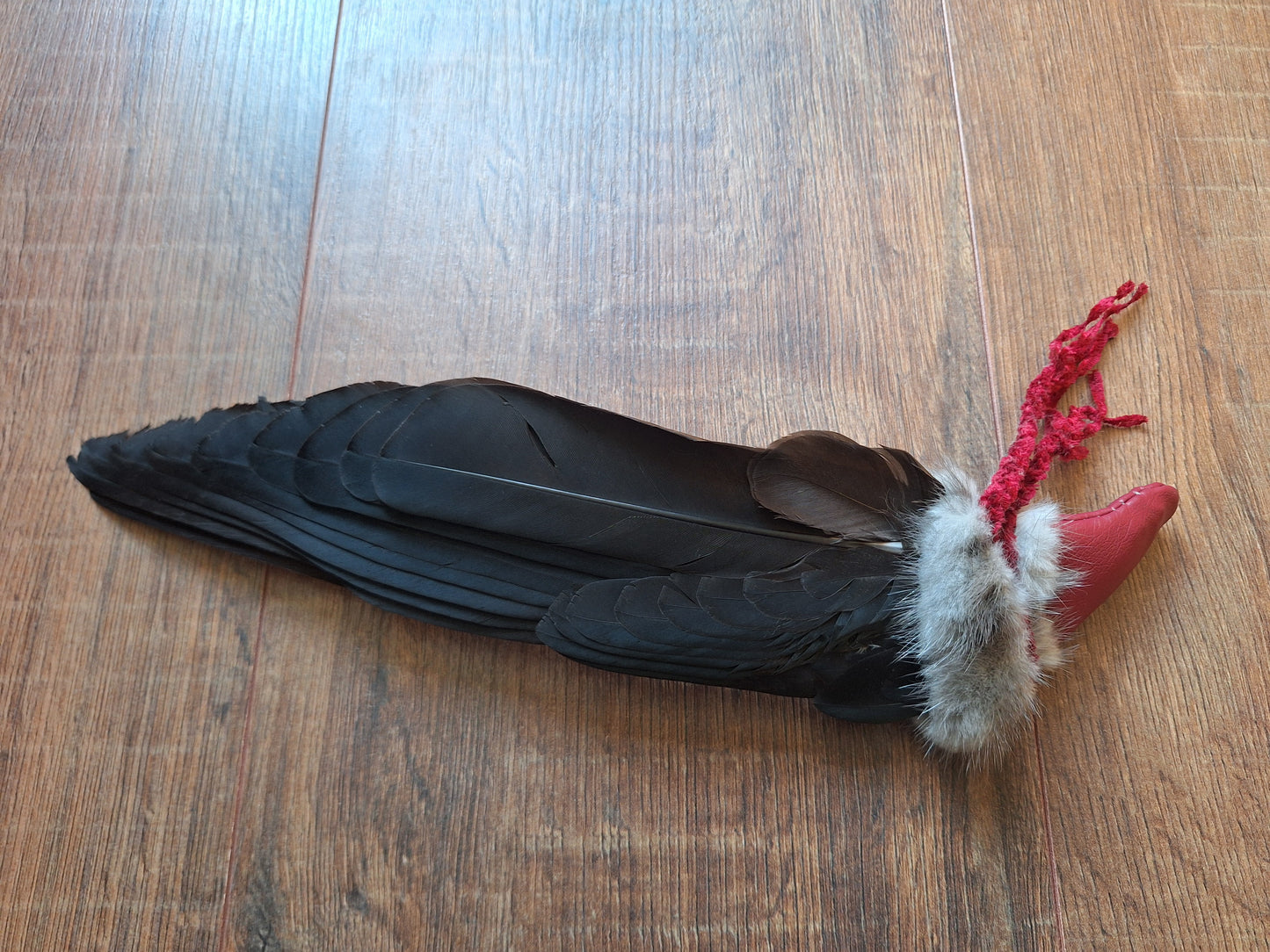 Barnacle goose wing fan