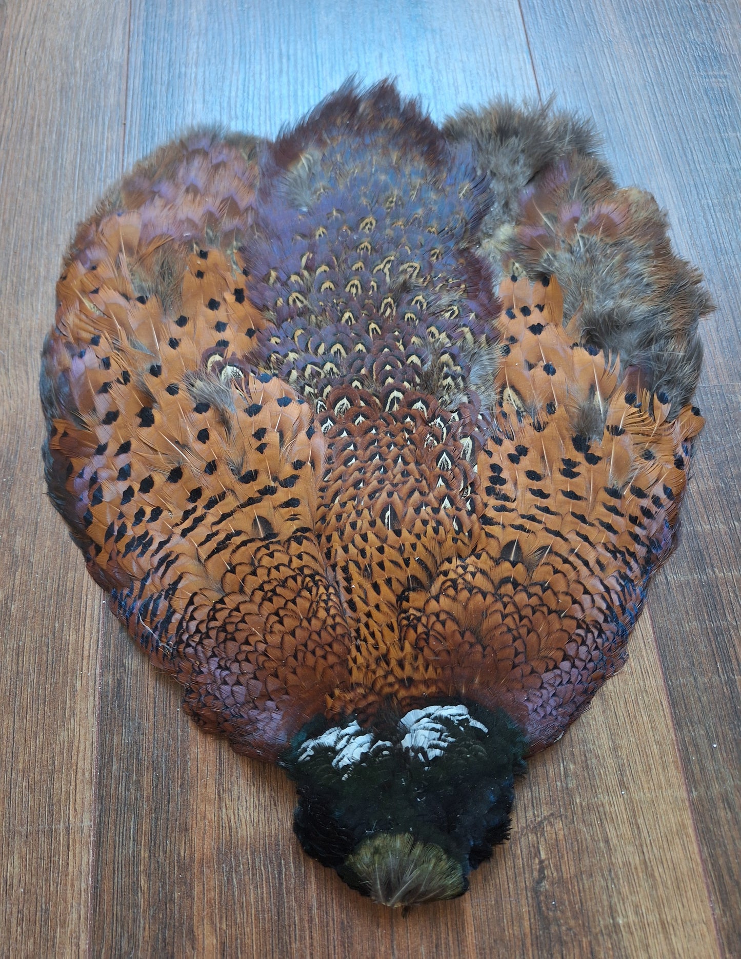 Pheasant skin