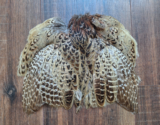 Pheasant skin