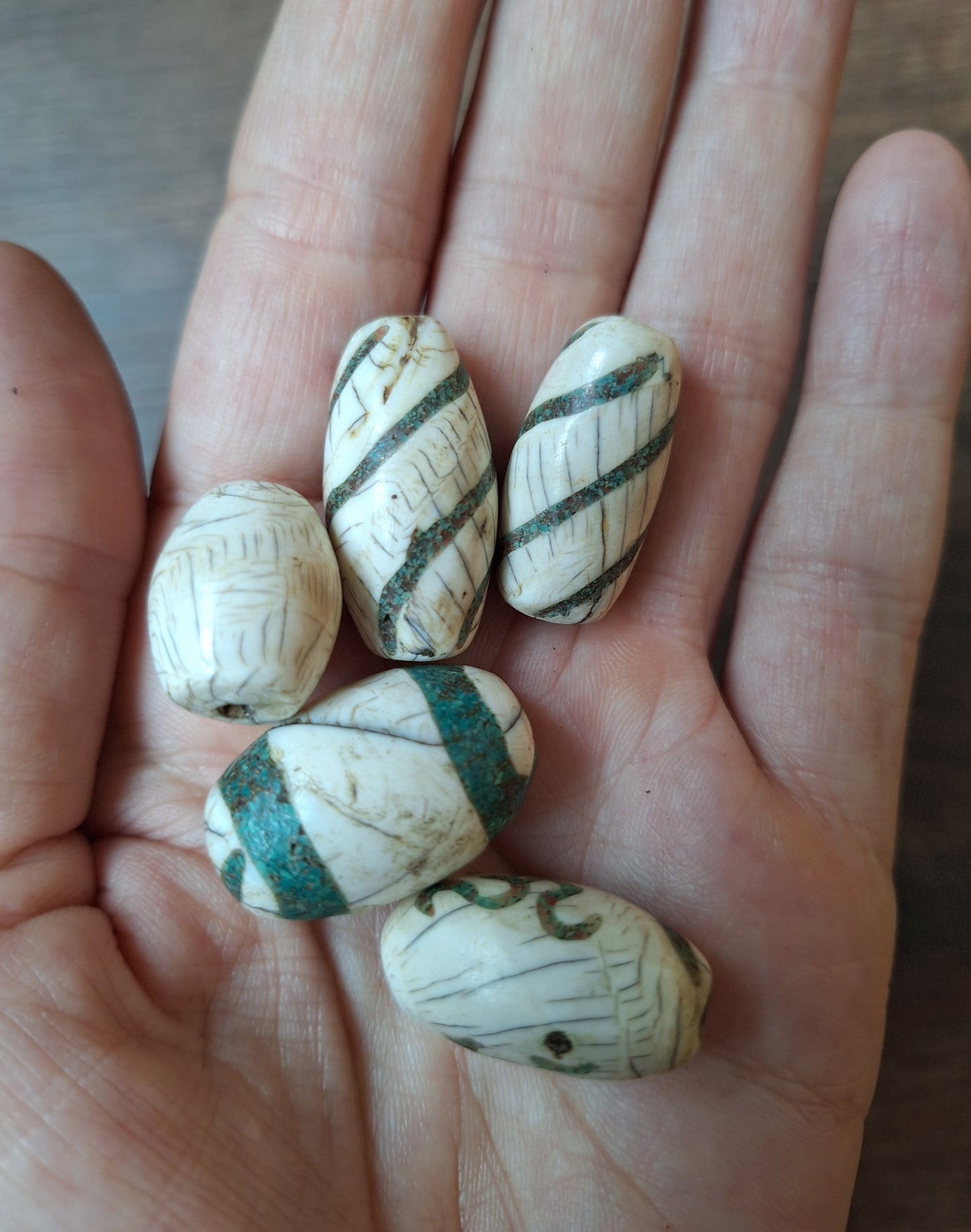 Old conch shell beads with turquoise inlay, set of 5