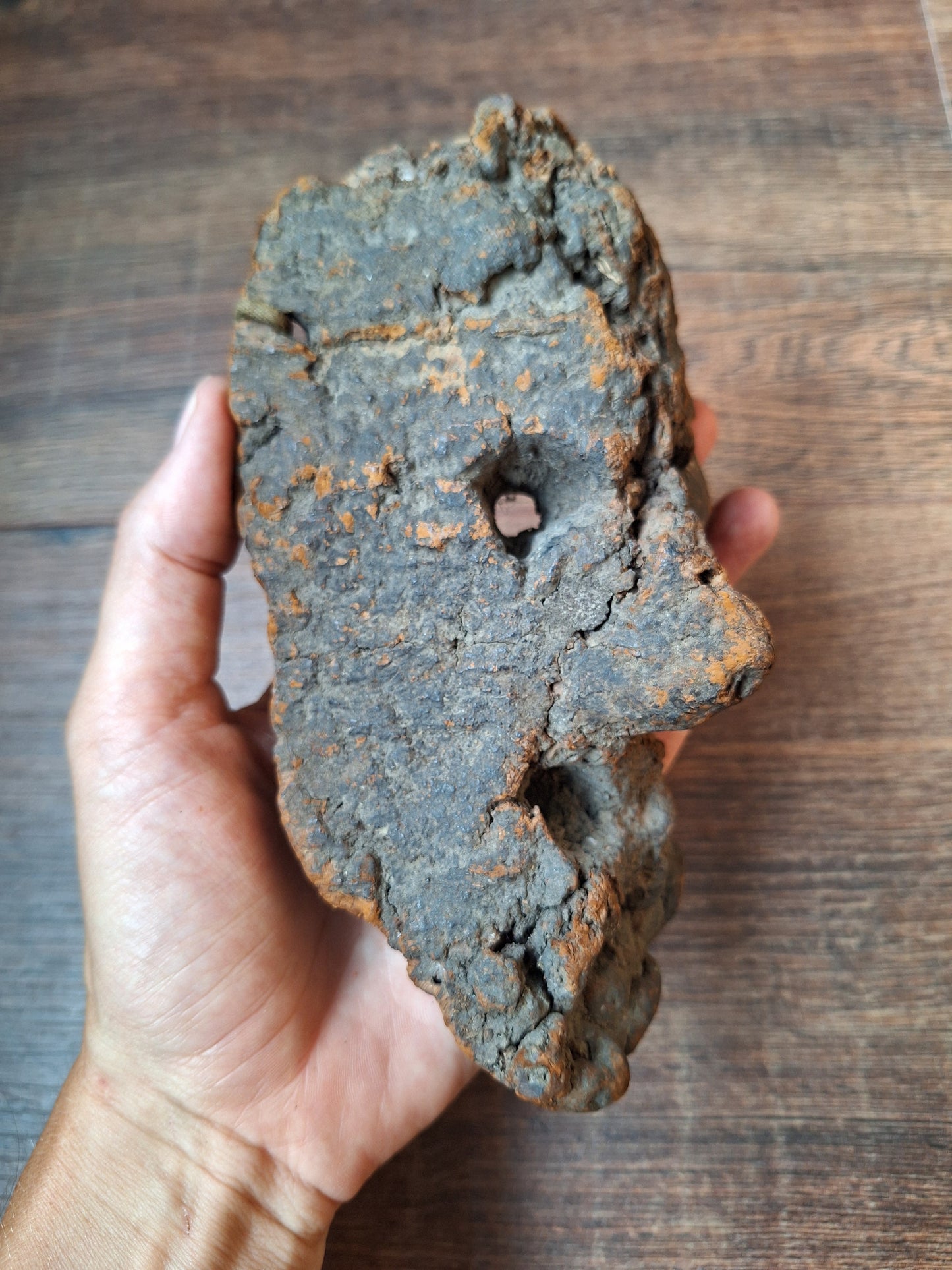 Antique Nepalese mushroom mask #9