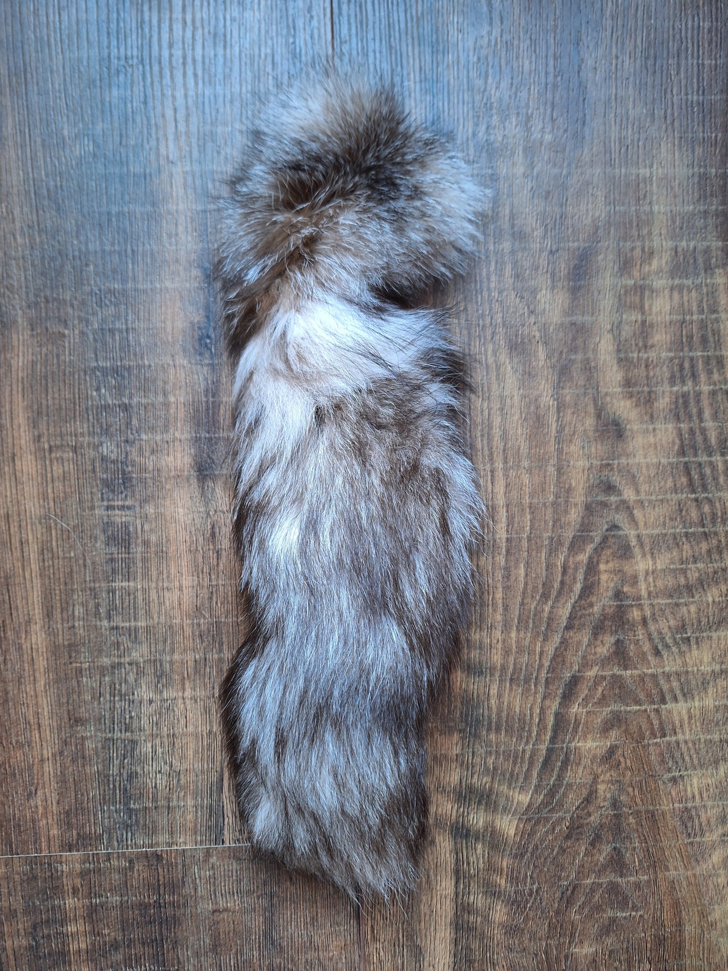 Painted silverfox tails