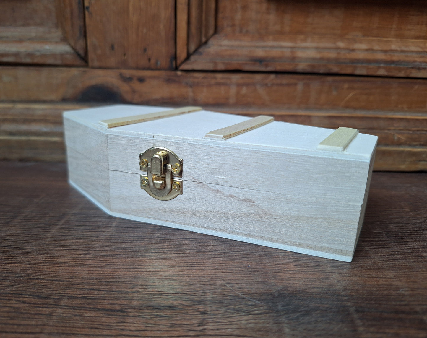 Crow skull and claws set in coffin
