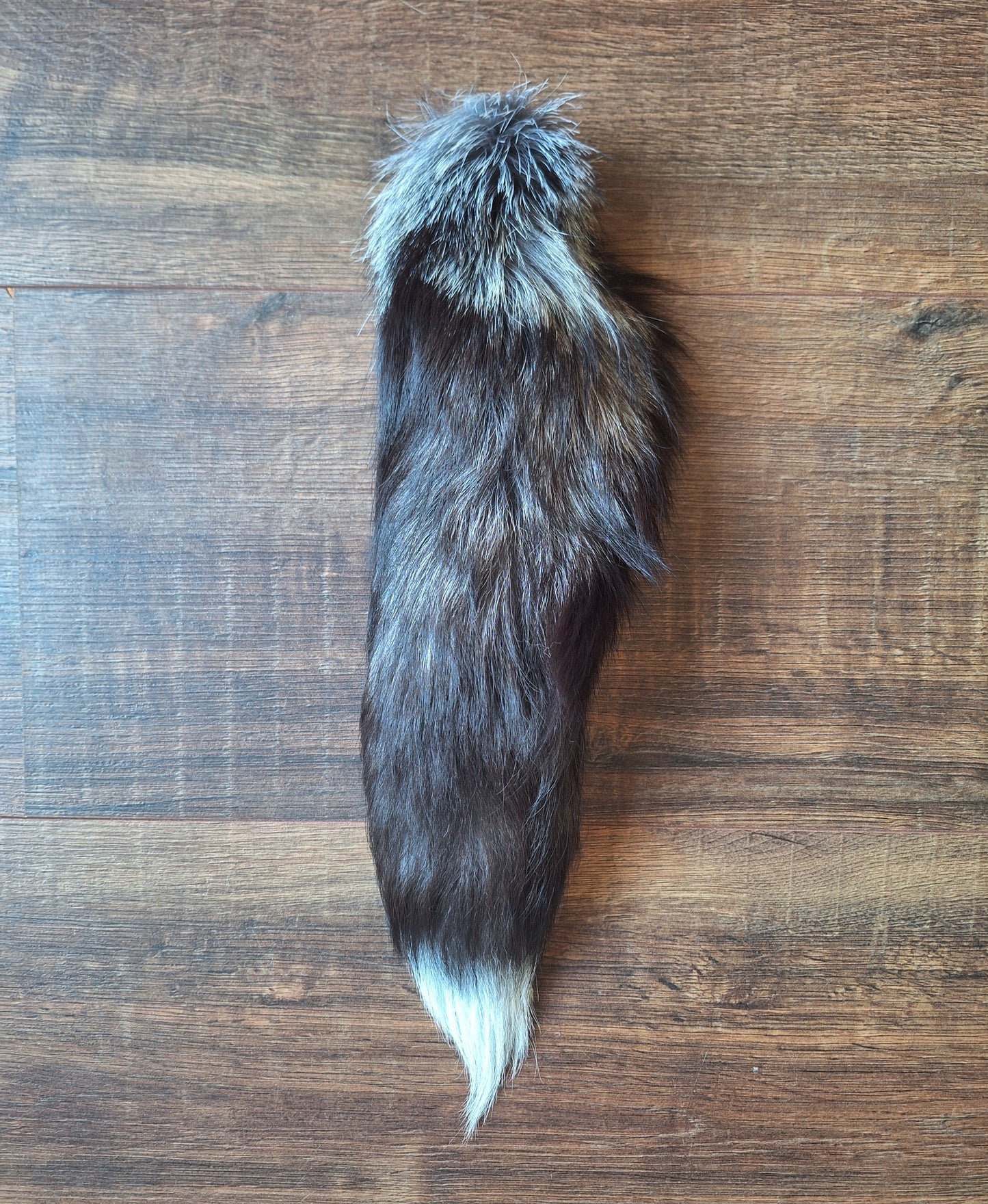 Silver fox tails