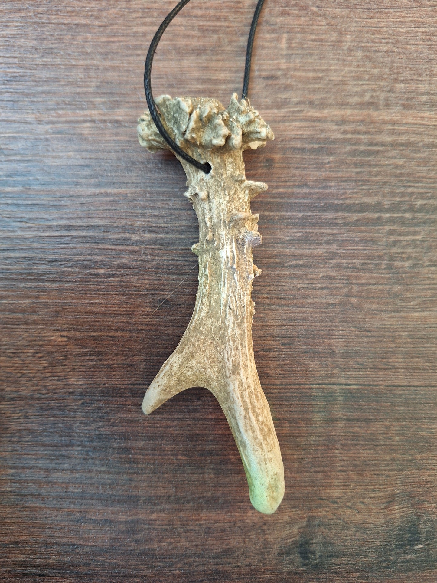 Roe deer antler necklaces