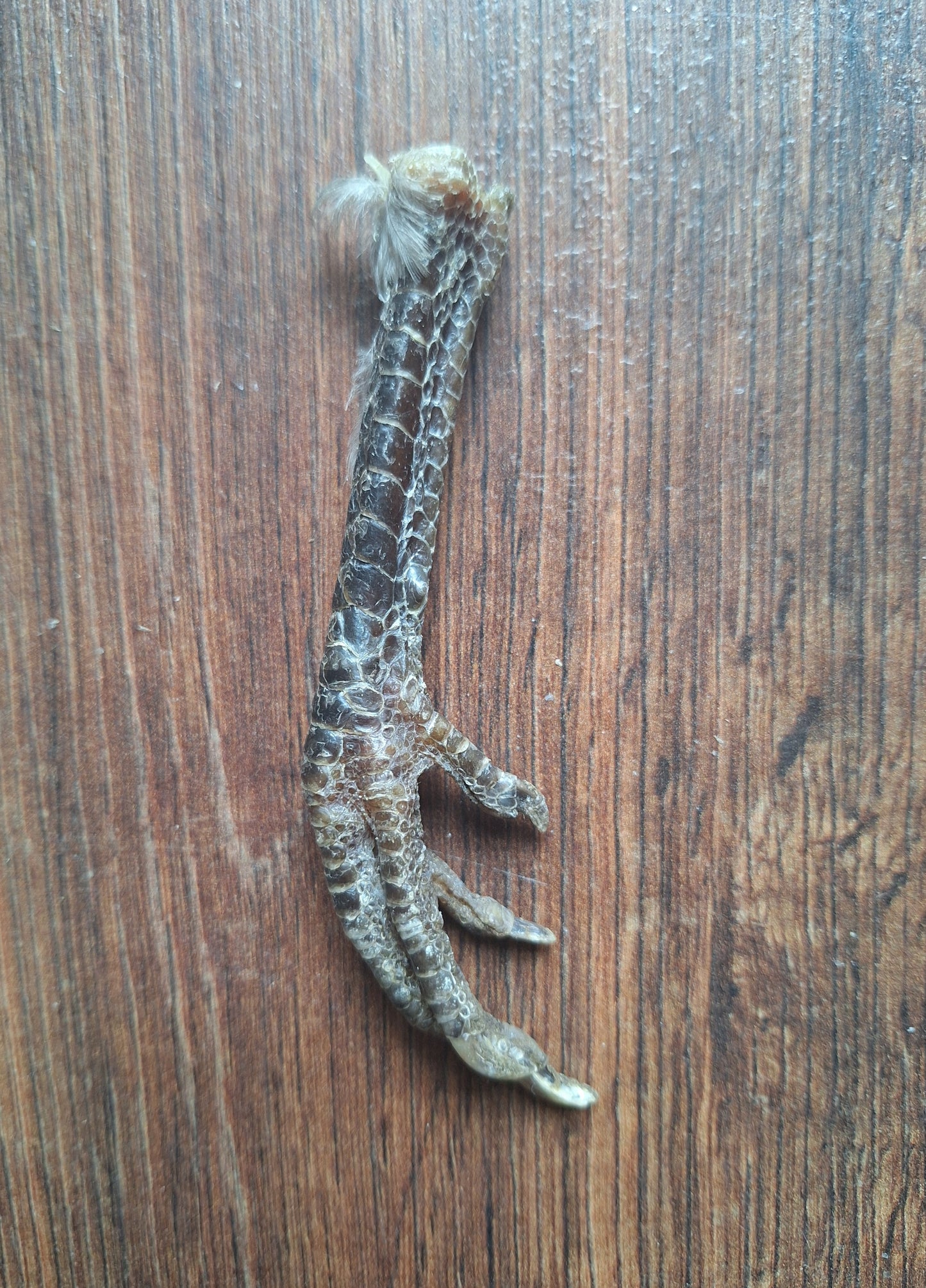 Chicken lower legs