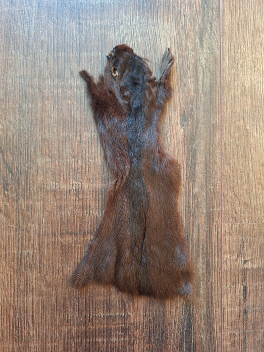 Squirrel hide #4, B-quality