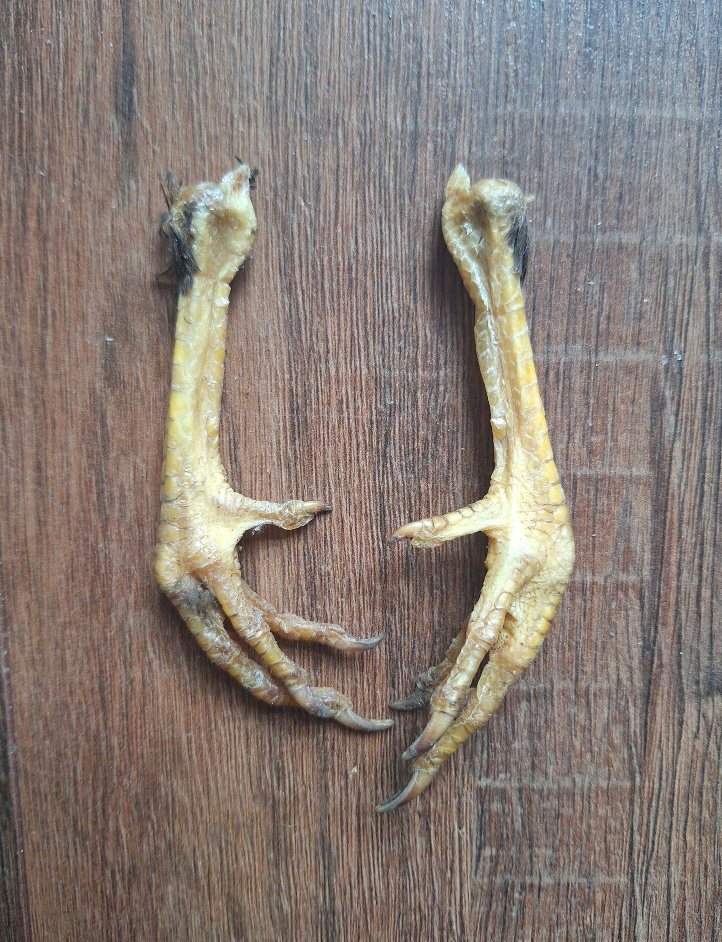 Chicken lower legs, set of 2