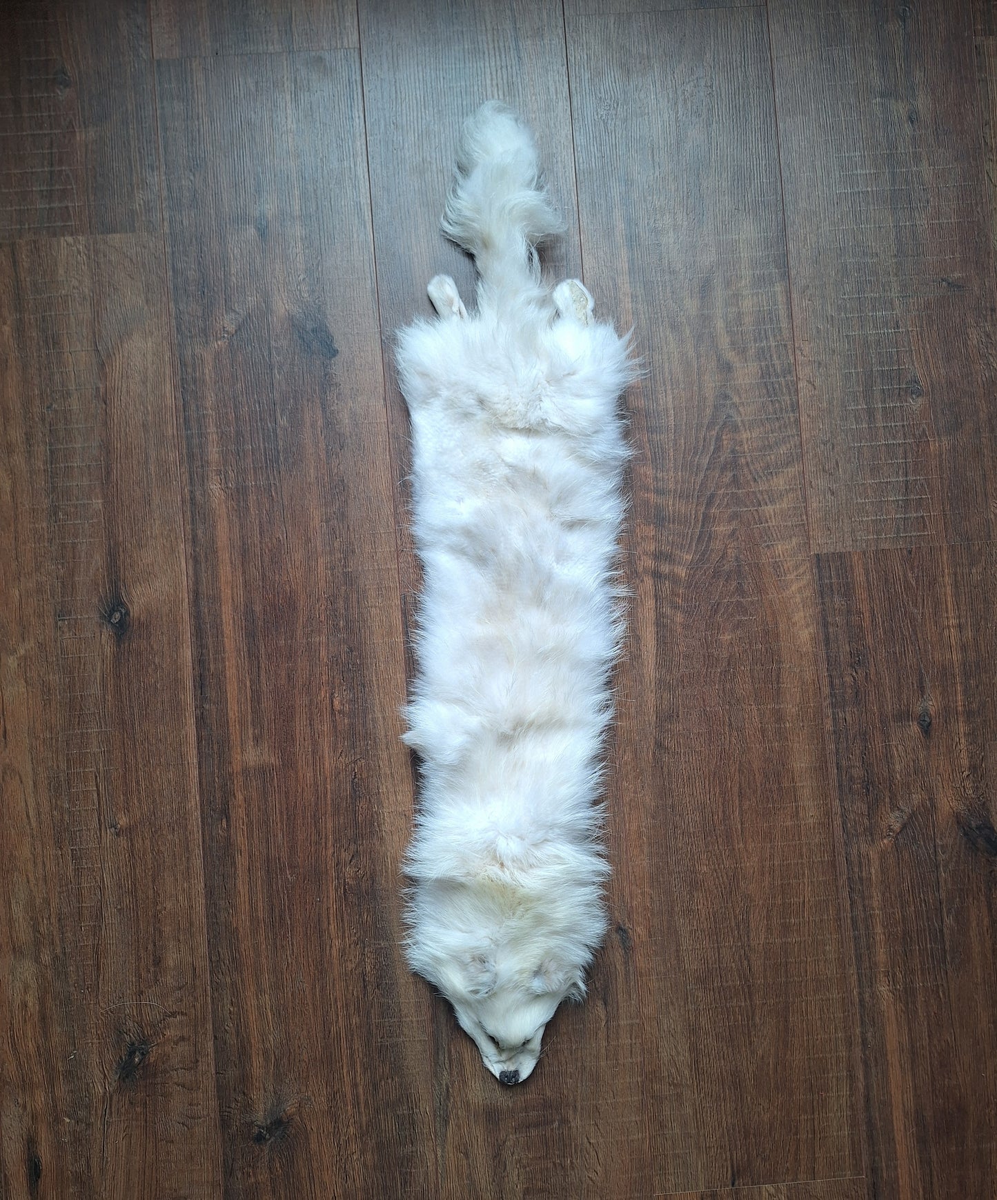 Polar fox hide
