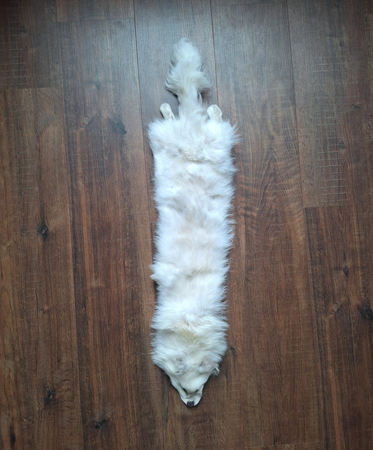 Polar fox hide