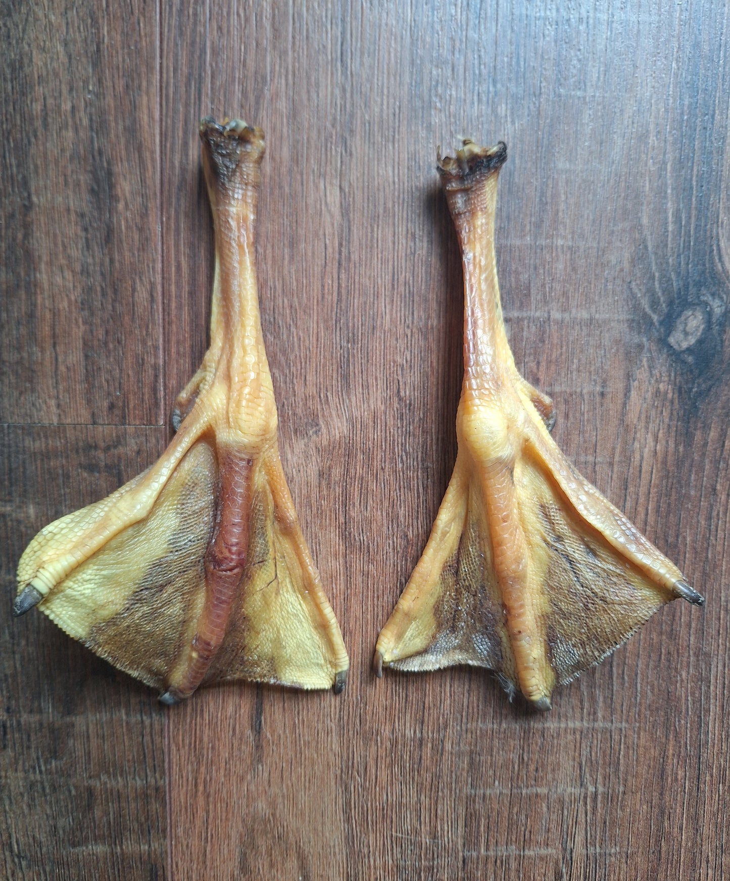 Goose lower legs, set of 2