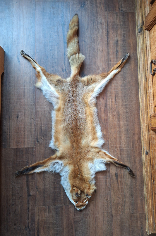 Red fox hide #25