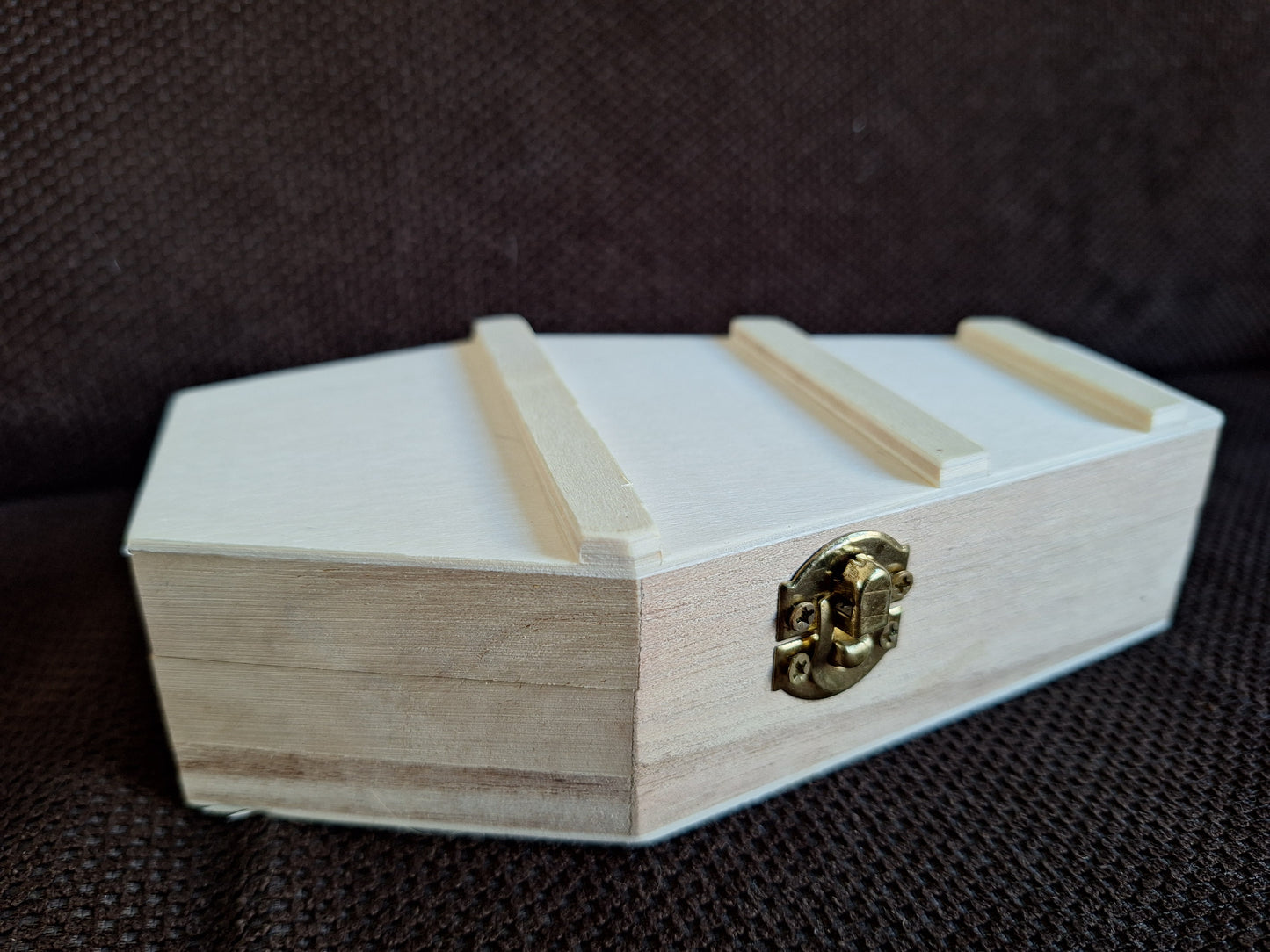 Crow skull and claws set in coffin