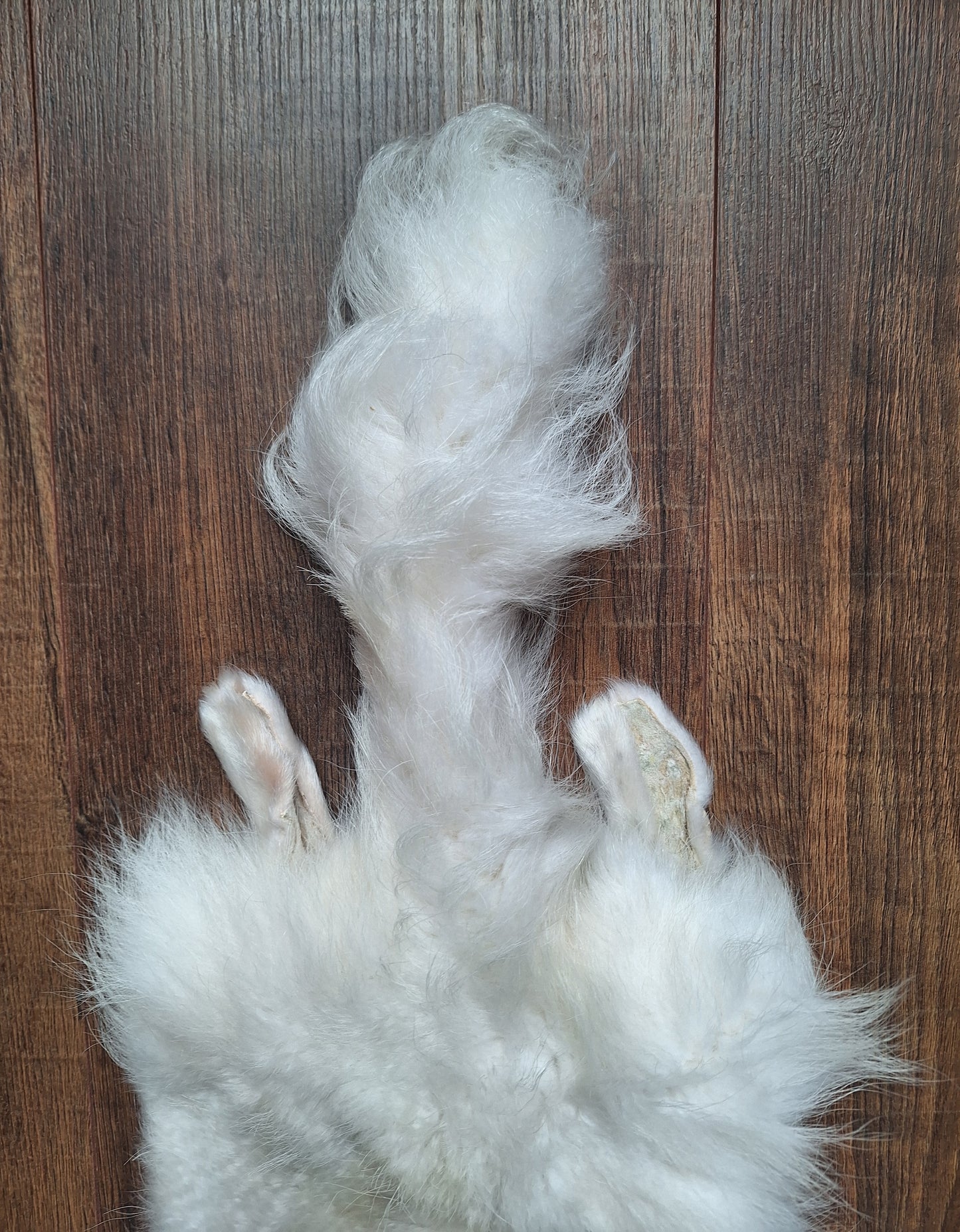 Polar fox hide