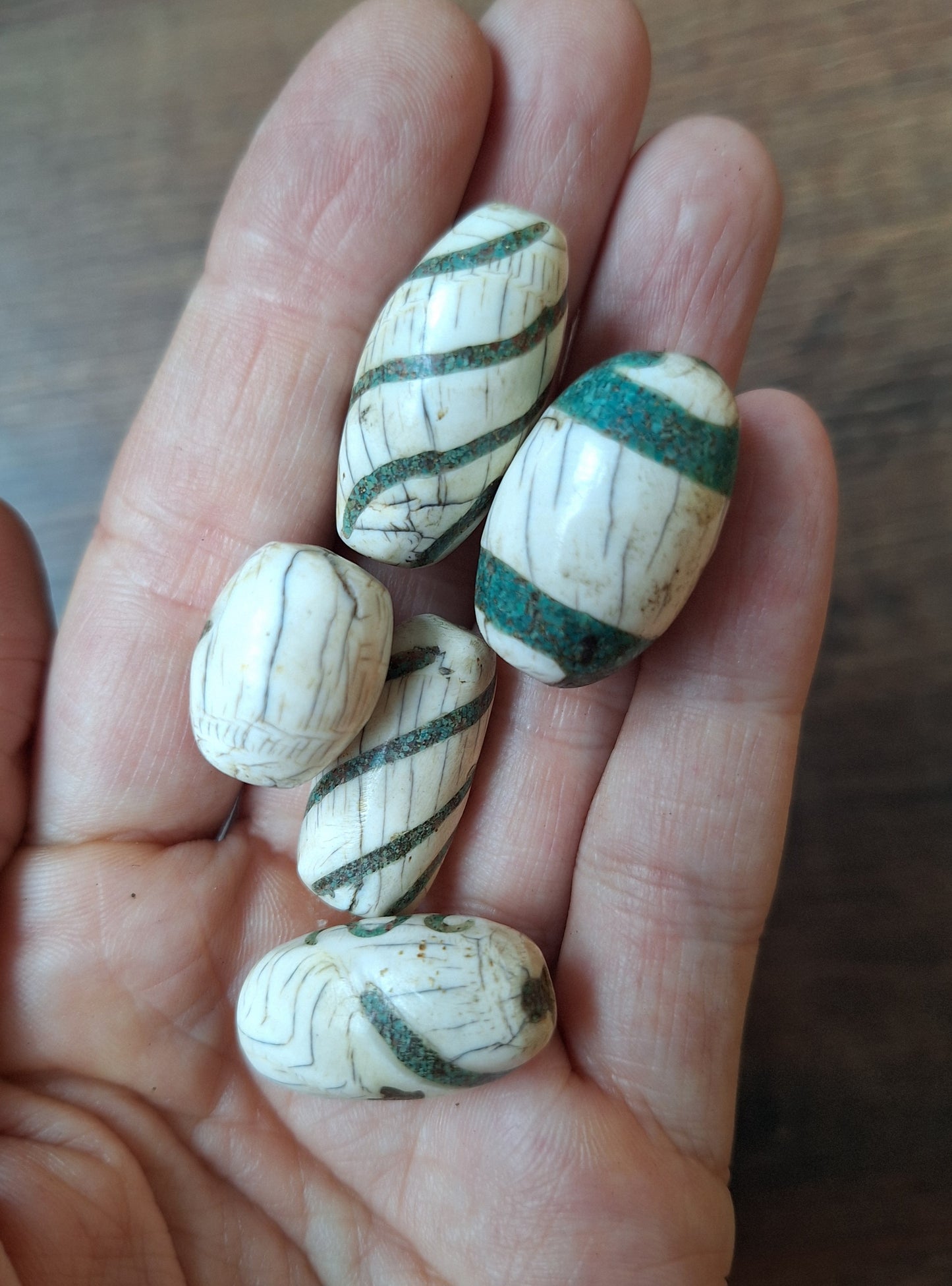 Old conch shell beads with turquoise inlay, set of 5