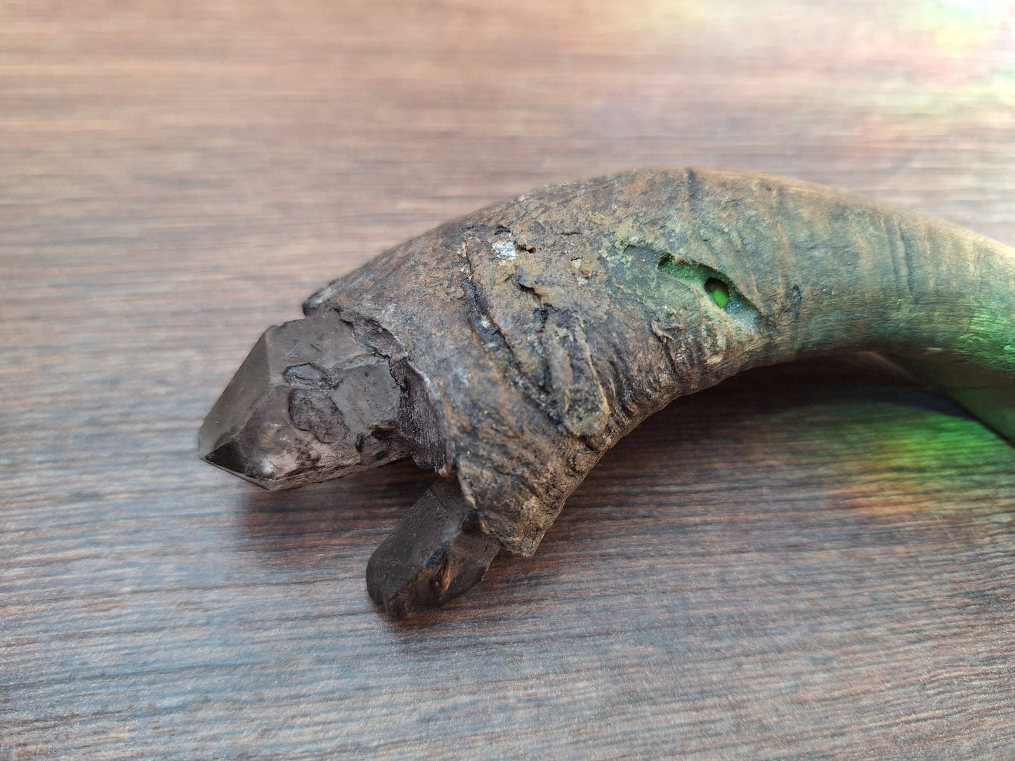 Old Nepalese shamanic horn stick #4