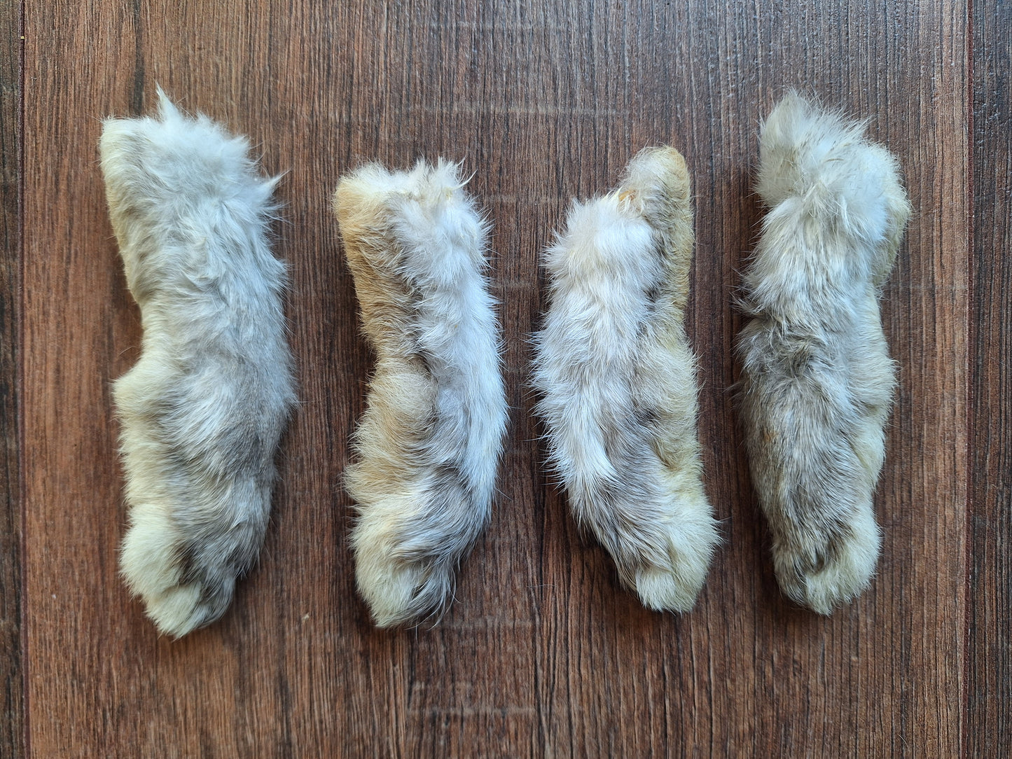 Rabbit paws, set of 4