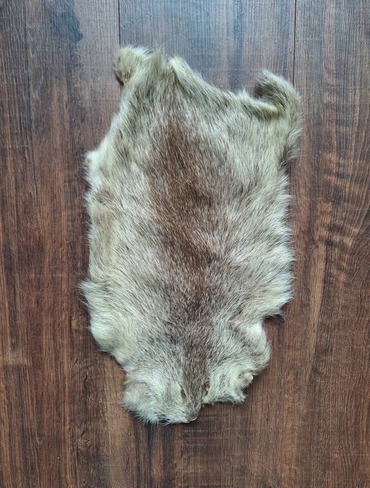 Beaver rat hide