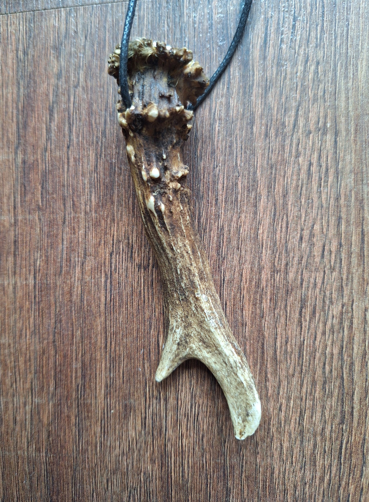 Roe deer antler necklaces