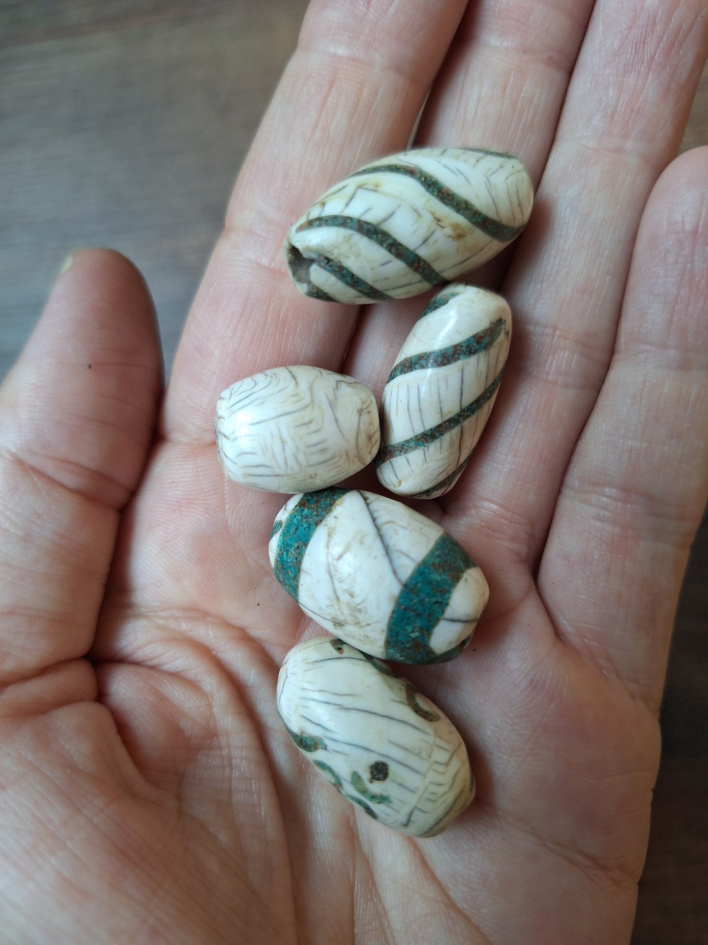 Old conch shell beads with turquoise inlay, set of 5