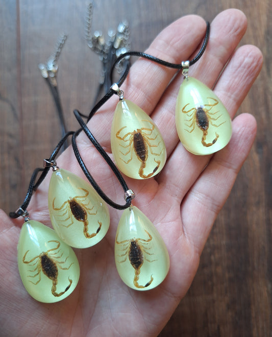 Scorpion in glow-in-the-dark resin neclace