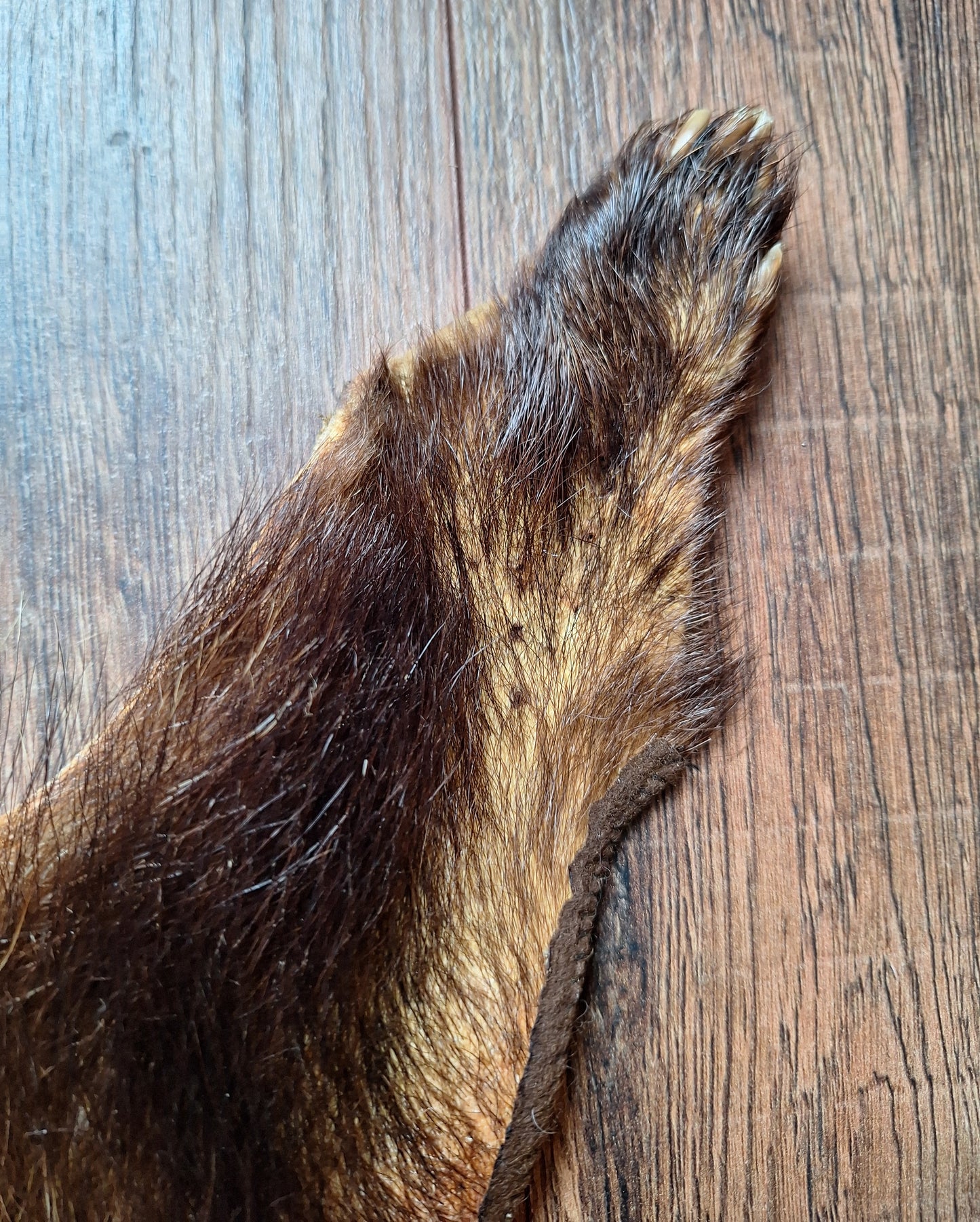 Badger hide #7
