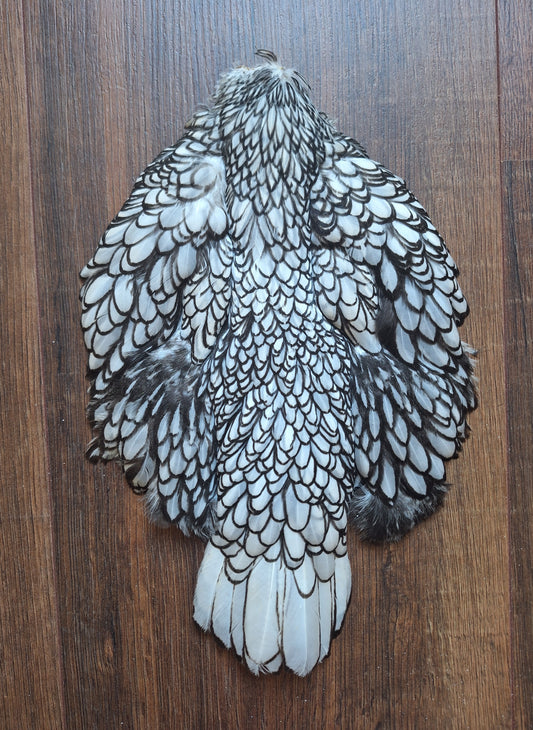 Chicken skin