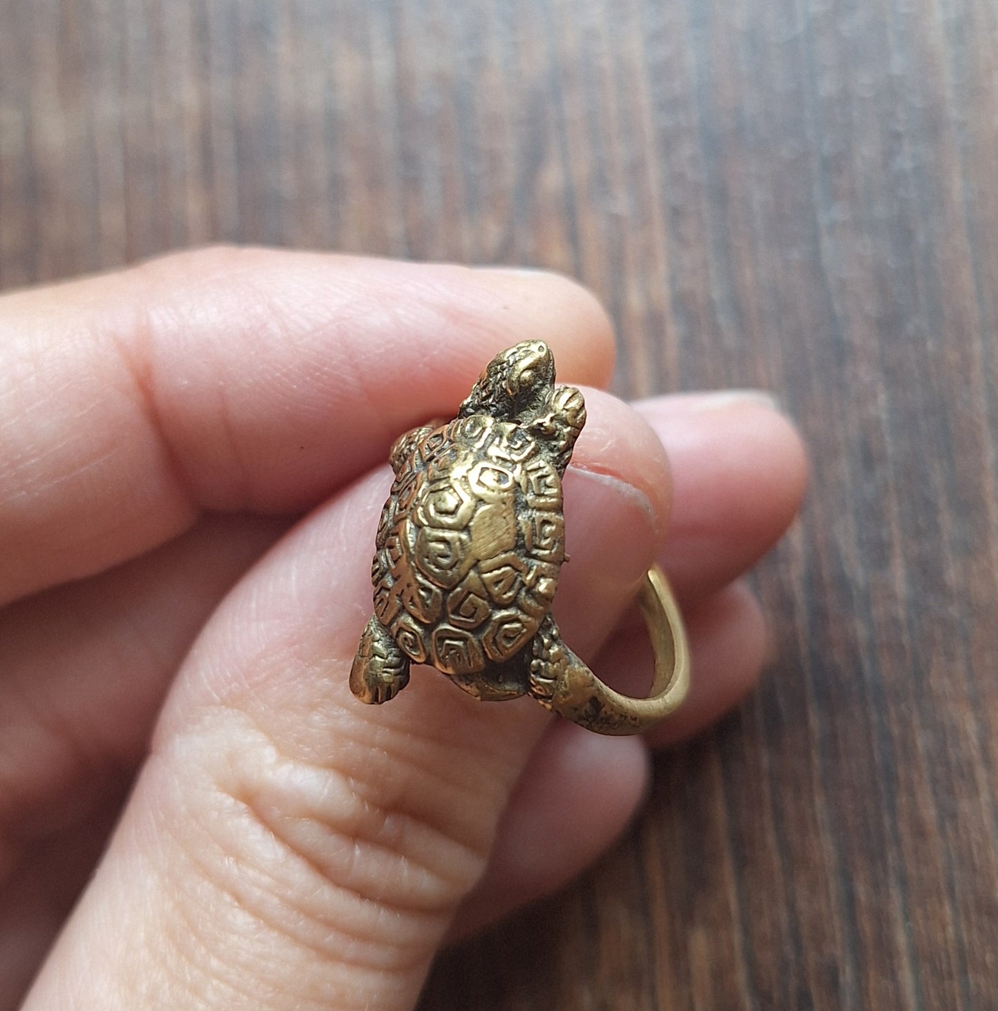 Brass ring Turtle