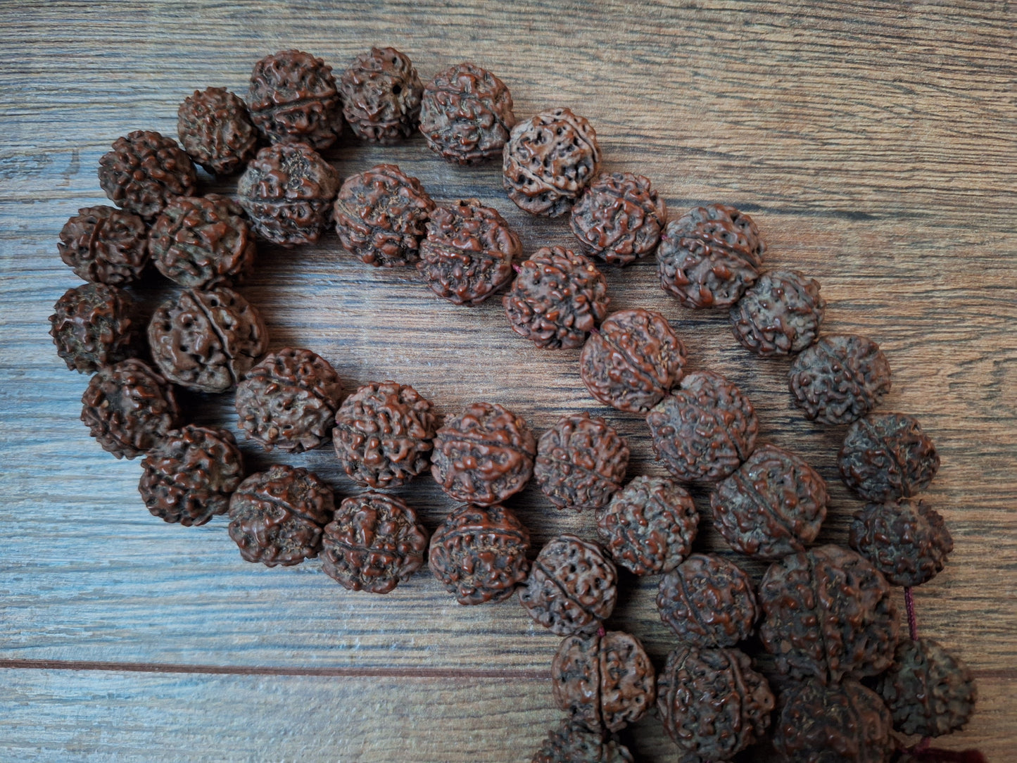 Rudraksha bead strand