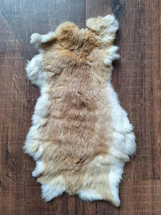 Rabbit hide #9