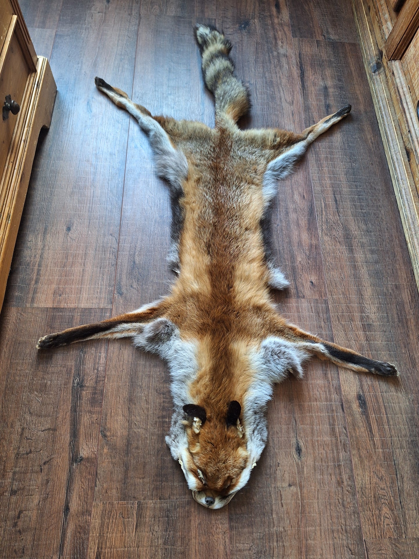Red fox hide #23