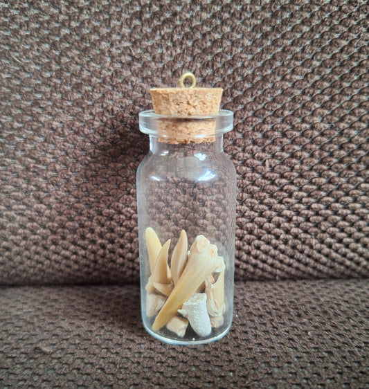 Shark teeth bottle