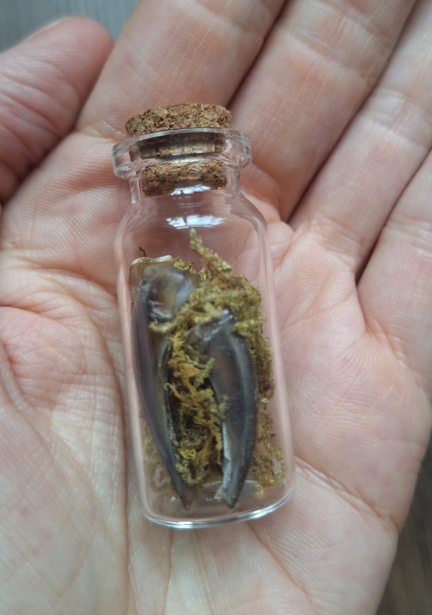 Badger nails bottle