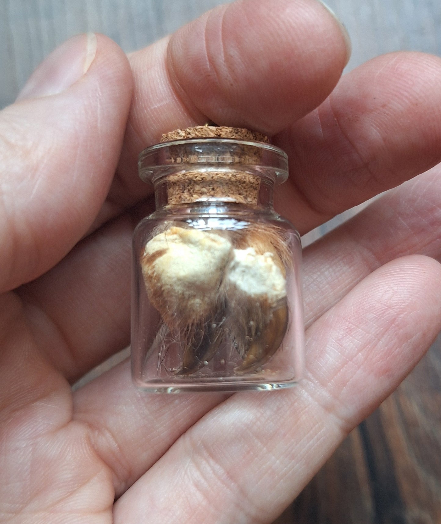 Fox nails bottle