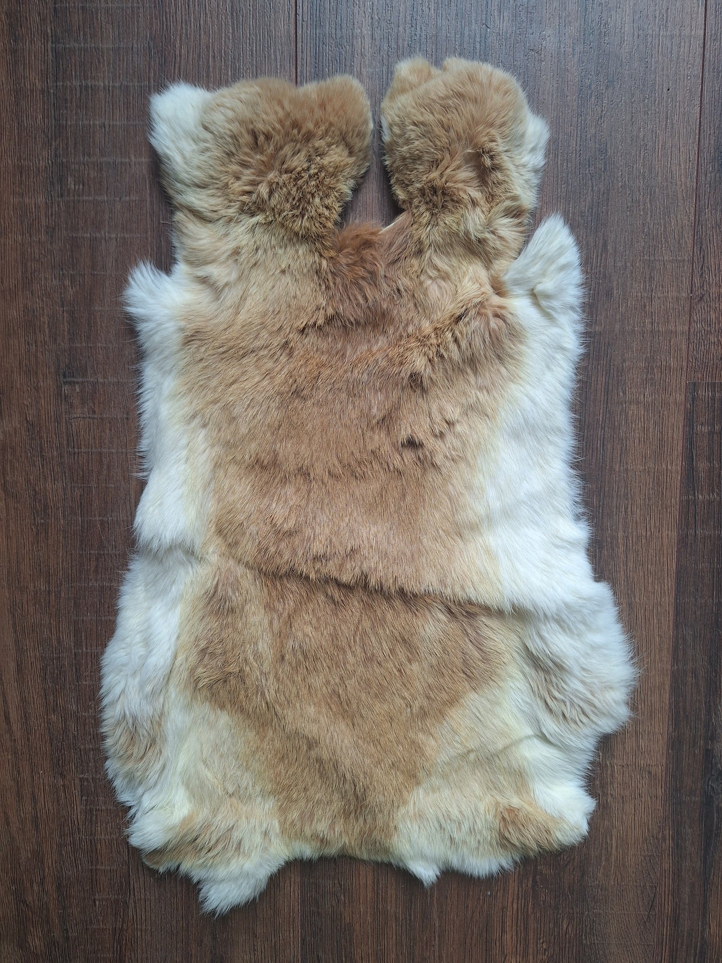 Rabbit hide #28