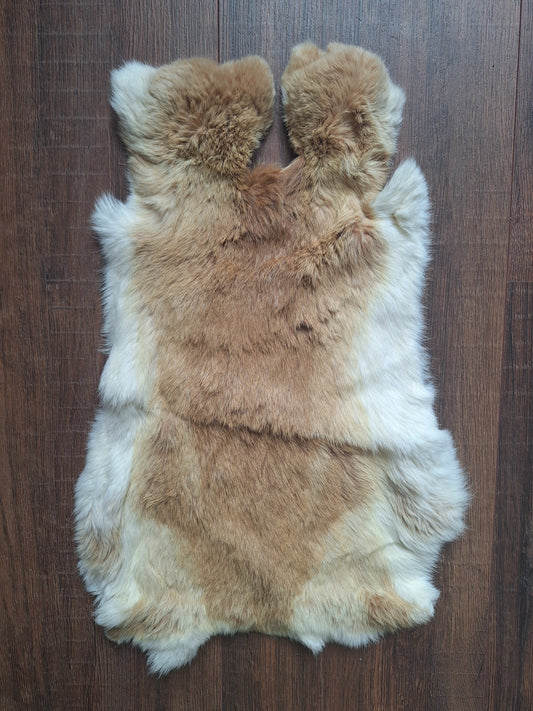 Rabbit hide #28