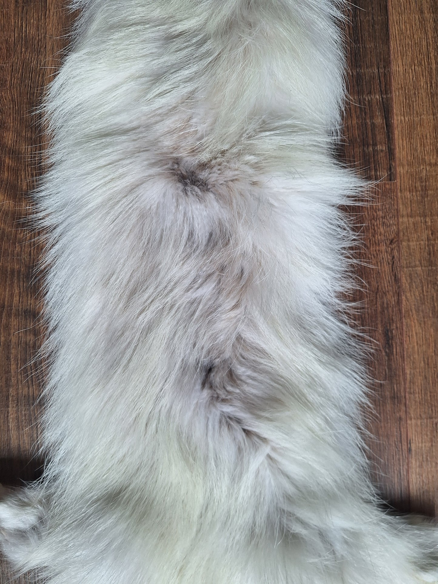 Polar fox hide, B-quality