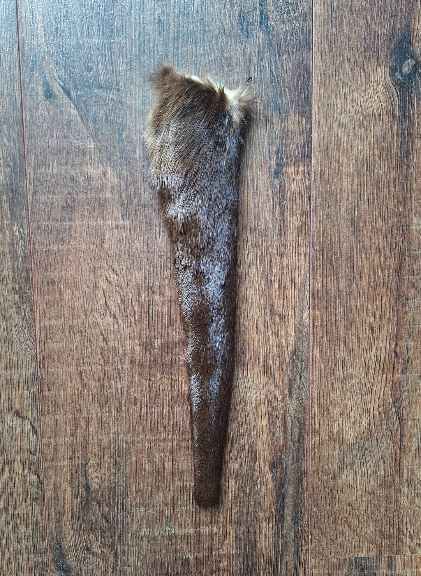 Otter tails