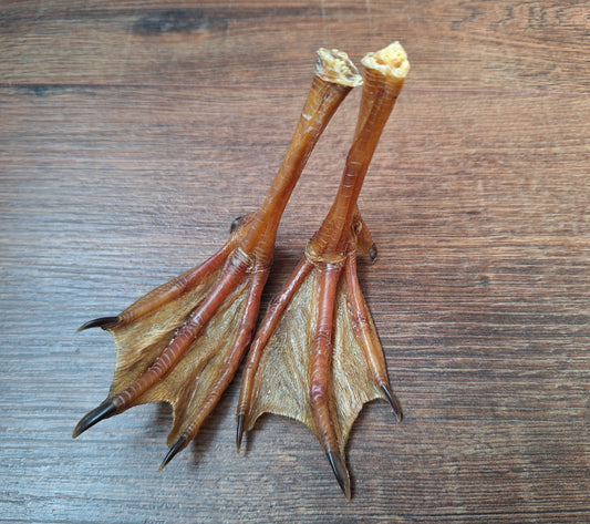 Duck lower legs, set of 2