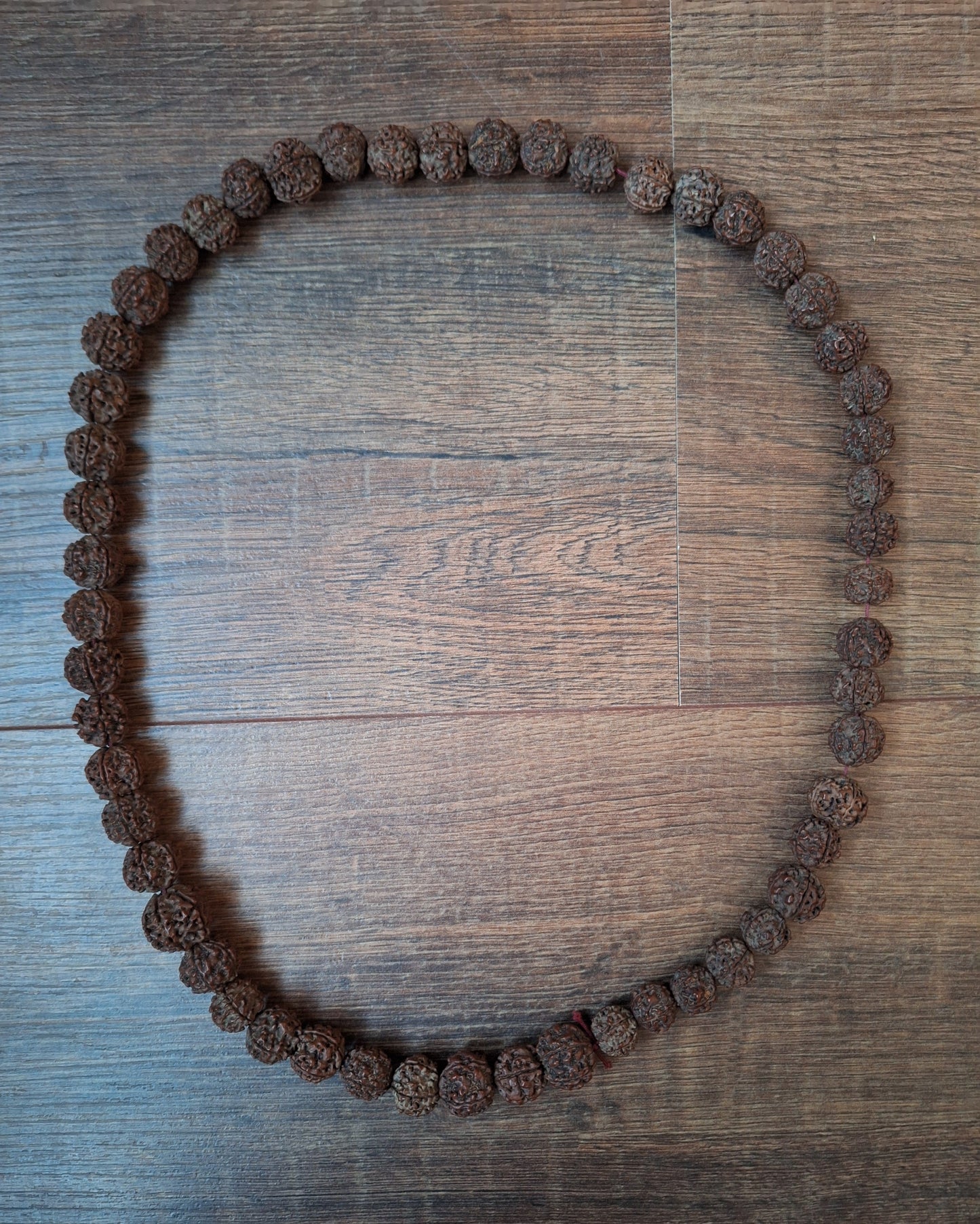 Rudraksha bead strand