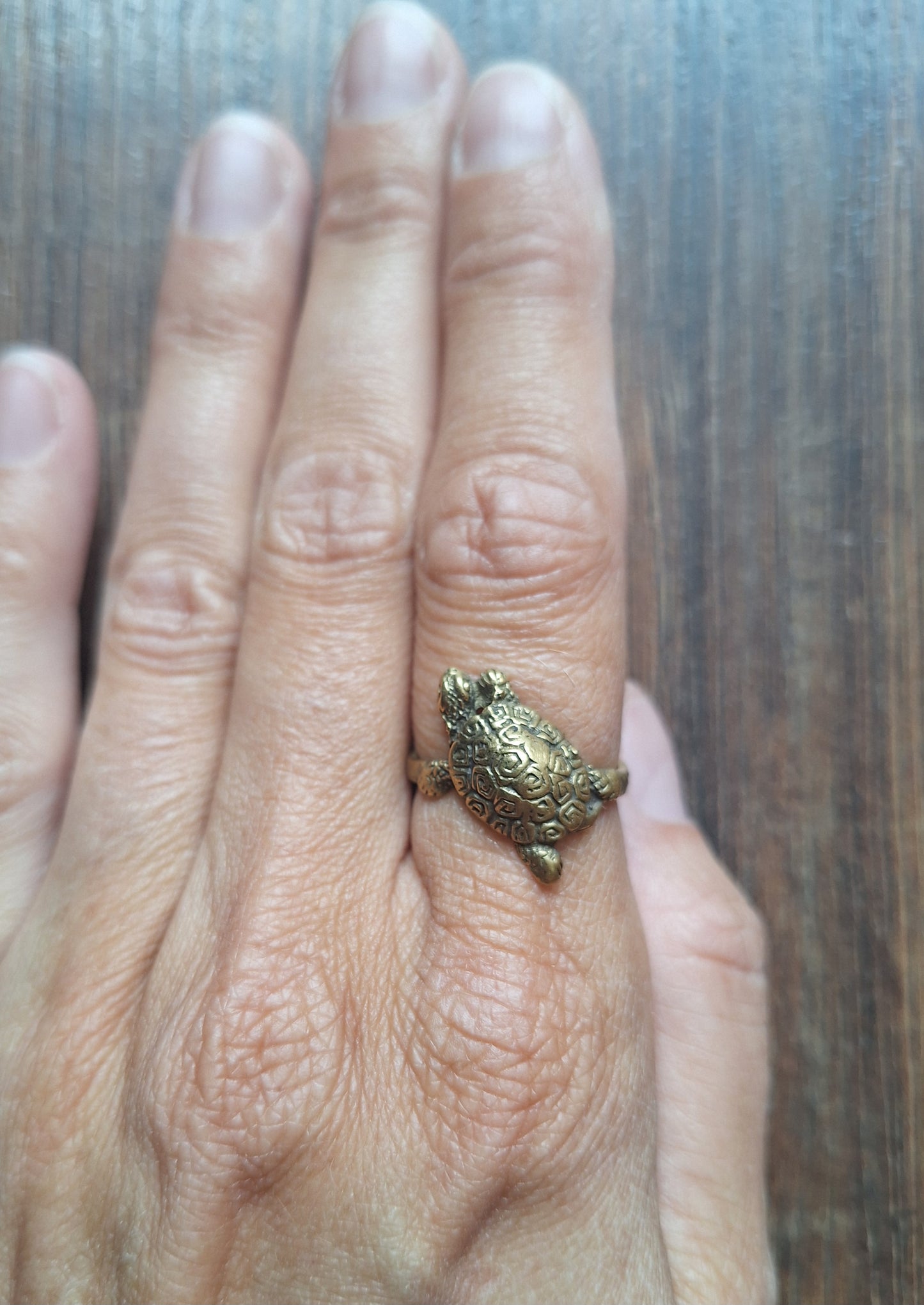 Brass ring Turtle