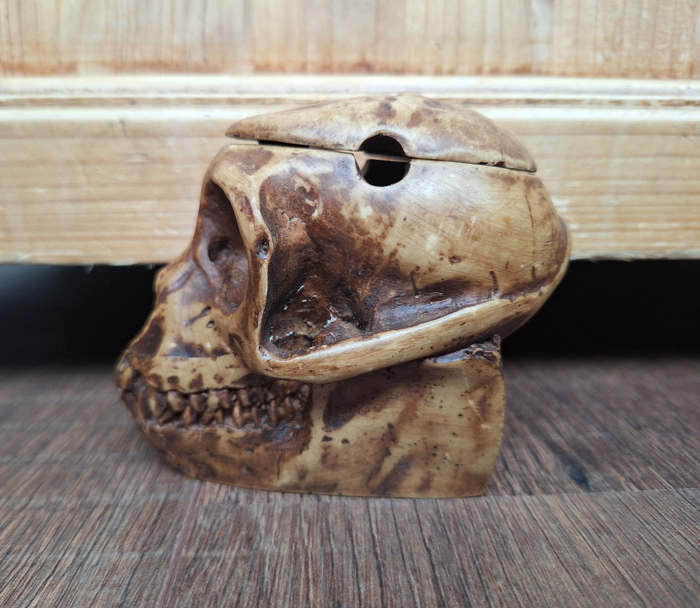 Resin monkey skull kapala