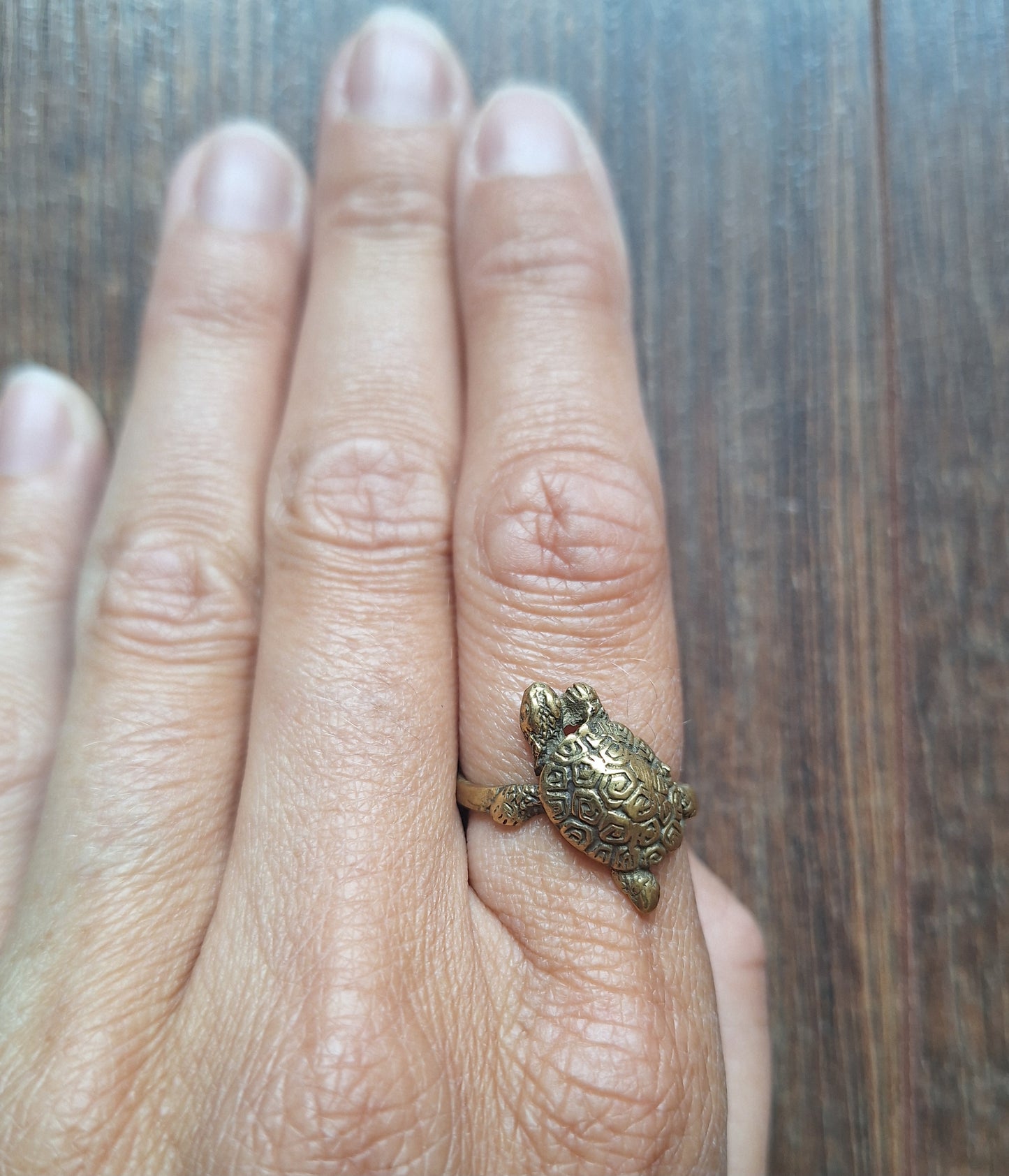 Brass ring Turtle