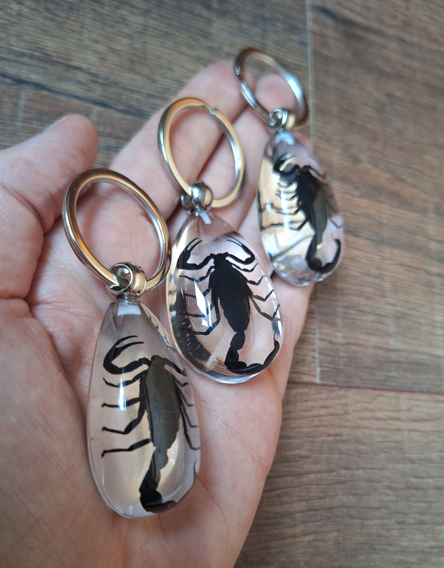 Scorpion in resin keychain