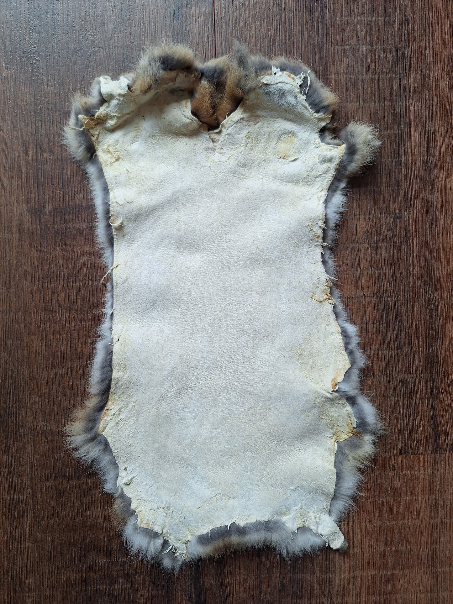Rabbit hide #4