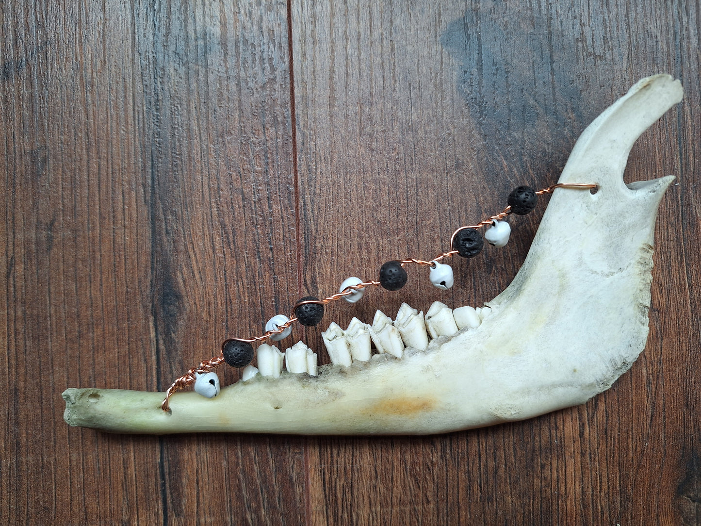 Roe deer jawbone rattle
