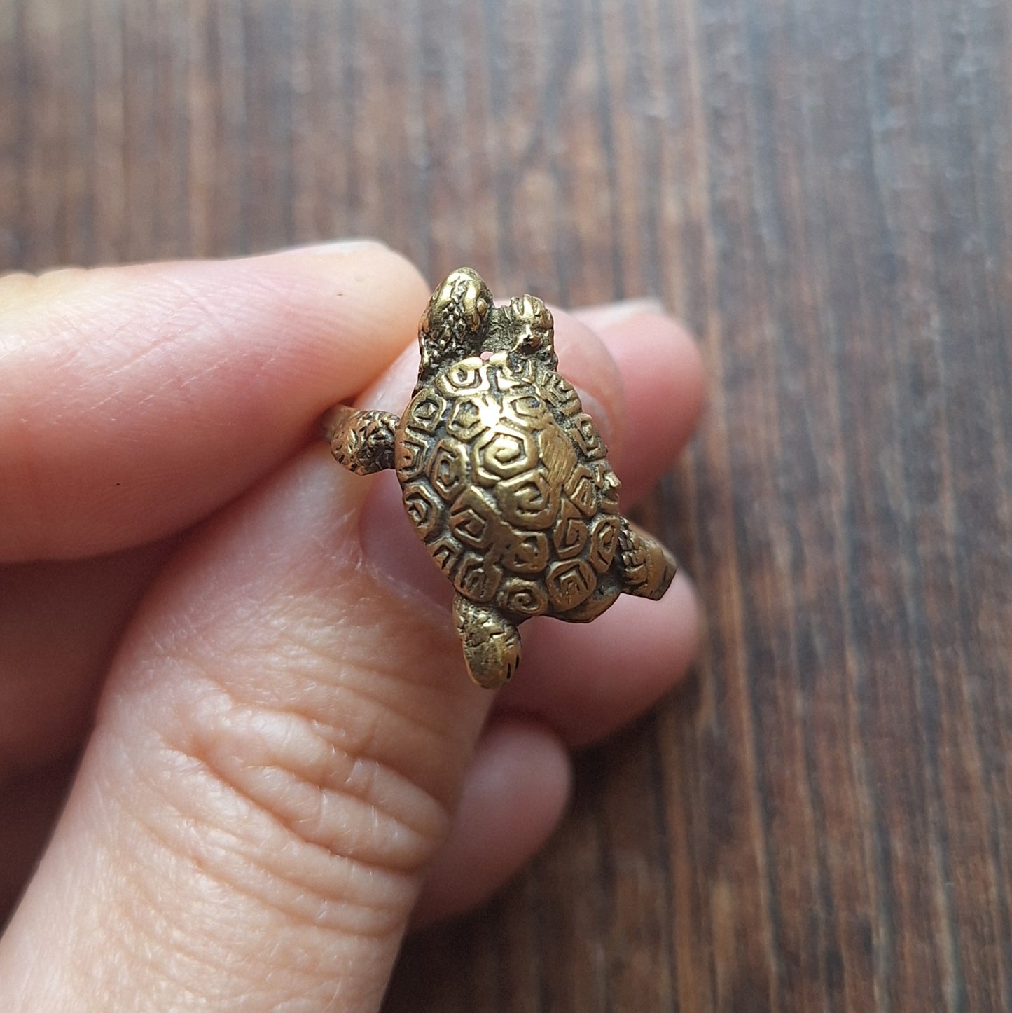 Brass ring Turtle