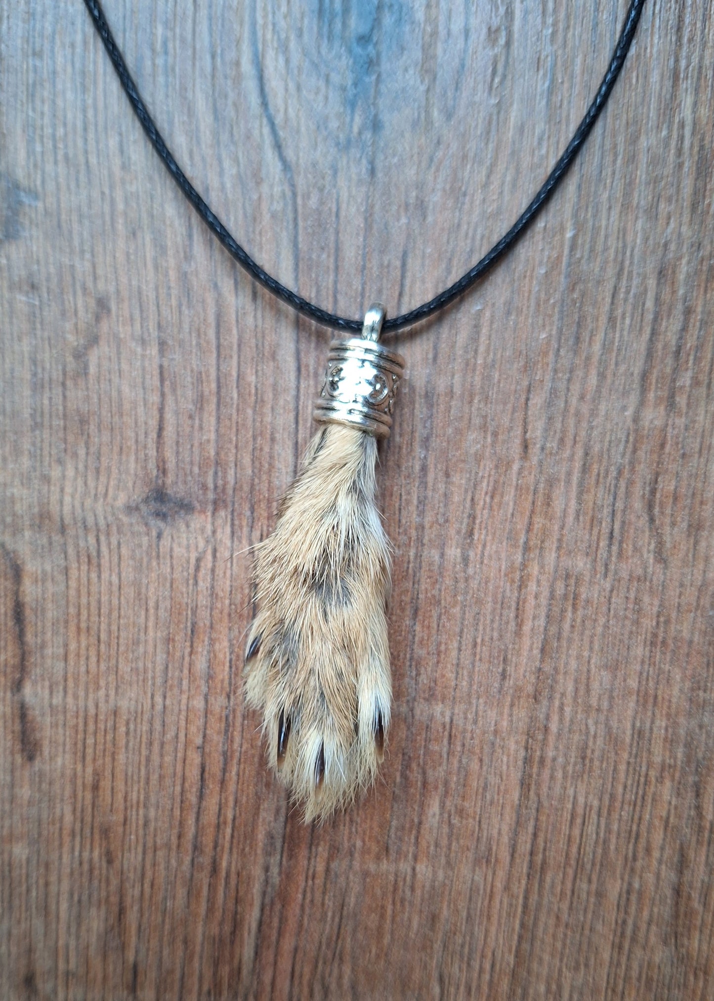 Hare paw amulet necklace